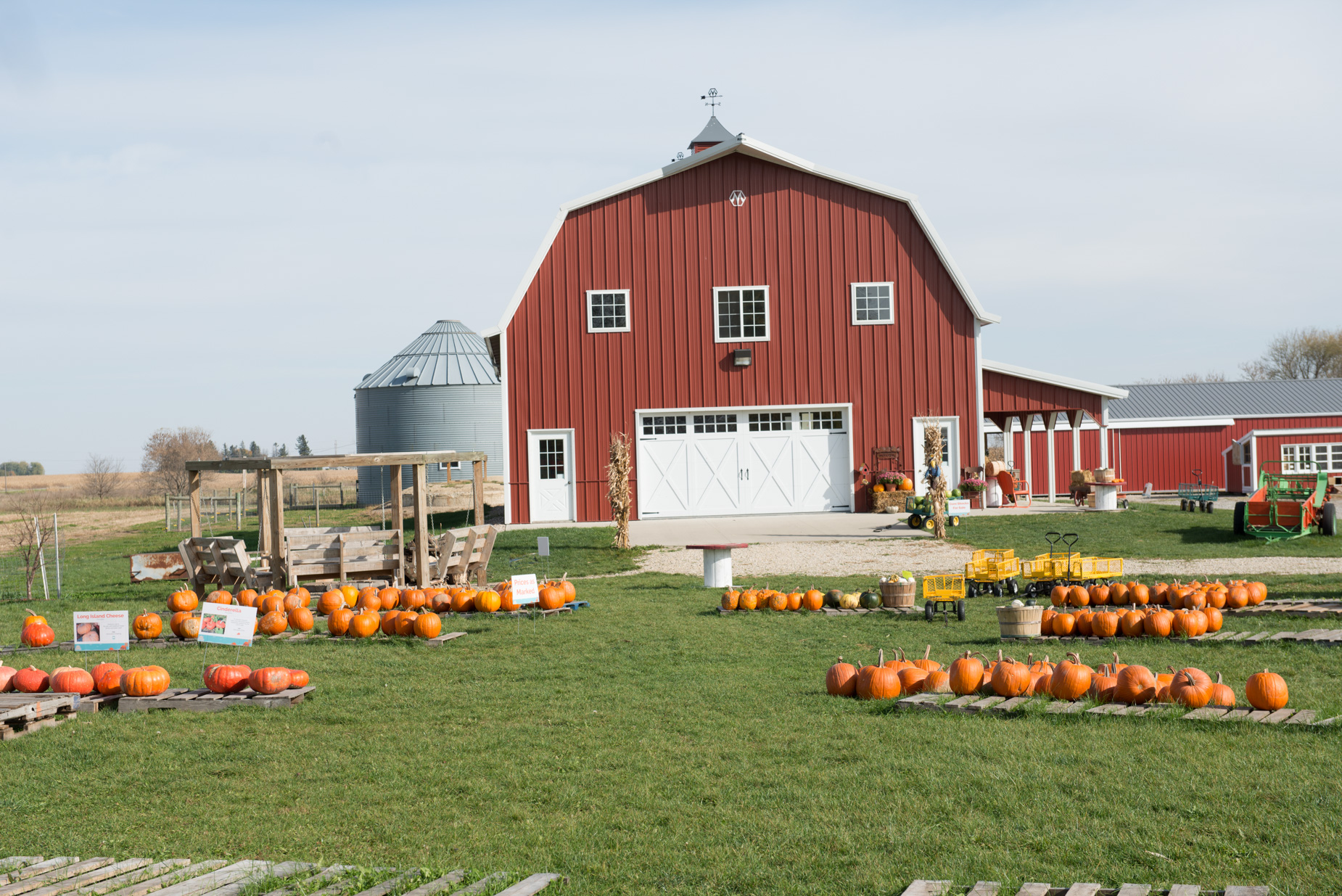 Making Magical Memories at Enchanted Acres